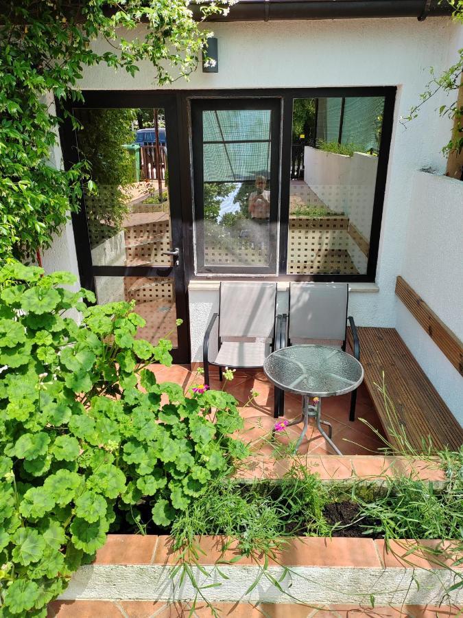 פאז'אנה Apartment 700 M Od Mora Valbandon, Hrvatska מראה חיצוני תמונה